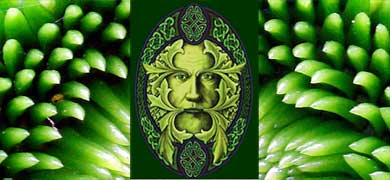 green man plant