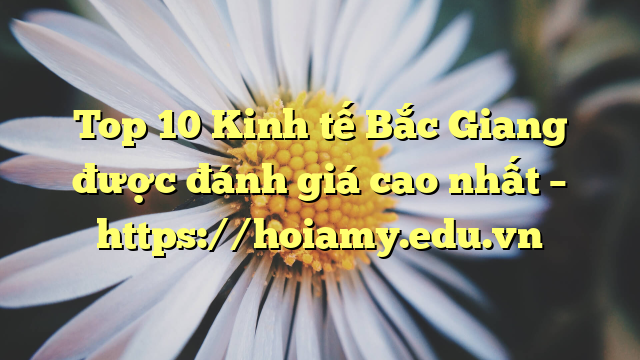 Top 10 Kinh Tế Bắc Giang Được Đánh Giá Cao Nhất – Https://Hoiamy.edu.vn