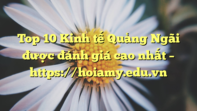 Top 10 Kinh Tế Quảng Ngãi Được Đánh Giá Cao Nhất – Https://Hoiamy.edu.vn