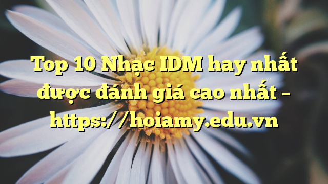 Top 10 Nhạc Idm Hay Nhất Được Đánh Giá Cao Nhất – Https://Hoiamy.edu.vn