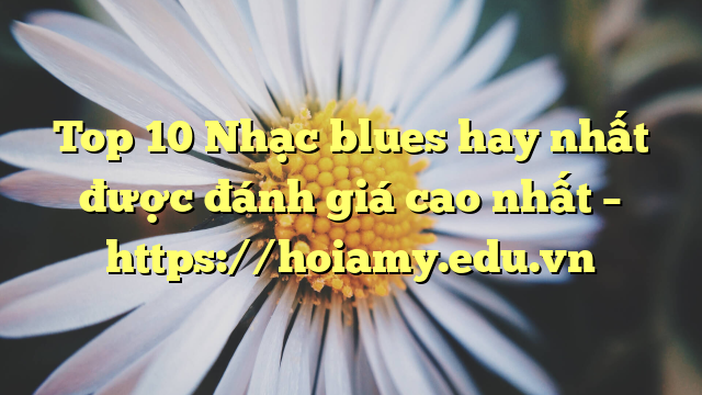 Top 10 Nhạc Blues Hay Nhất Được Đánh Giá Cao Nhất – Https://Hoiamy.edu.vn