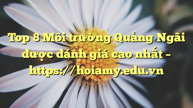Top 8 Môi Trường Quảng Ngãi Được Đánh Giá Cao Nhất – Https://Hoiamy.edu.vn