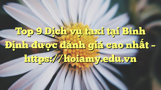 Top 9 Dịch Vụ Taxi Tại Bình Định Được Đánh Giá Cao Nhất – Https://Hoiamy.edu.vn