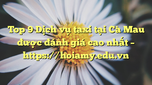 Top 9 Dịch Vụ Taxi Tại Cà Mau Được Đánh Giá Cao Nhất – Https://Hoiamy.edu.vn