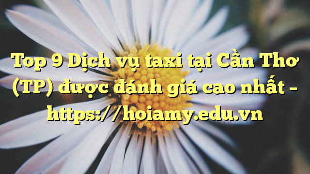 Top 9 Dịch Vụ Taxi Tại Cần Thơ (Tp) Được Đánh Giá Cao Nhất – Https://Hoiamy.edu.vn