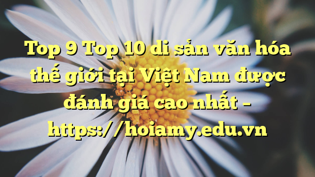Top 9 Top 10 Di Sản Văn Hóa Thế Giới Tại Việt Nam Được Đánh Giá Cao Nhất – Https://Hoiamy.edu.vn