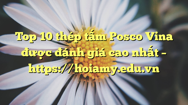 Top 10  Thép Tấm Posco Vina Được Đánh Giá Cao Nhất – Https://Hoiamy.edu.vn