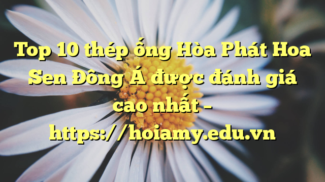Top 10  Thép Ống Hòa Phát Hoa Sen Đông Á Được Đánh Giá Cao Nhất – Https://Hoiamy.edu.vn