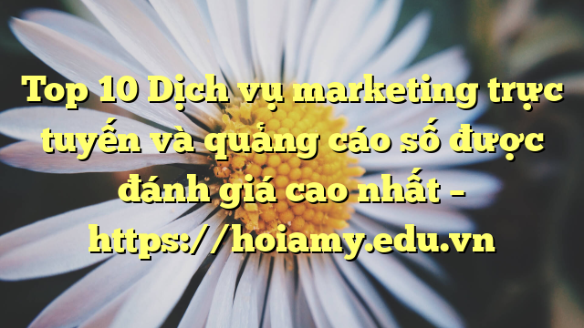 Top 10 Dịch Vụ Marketing Trực Tuyến Và Quảng Cáo Số Được Đánh Giá Cao Nhất – Https://Hoiamy.edu.vn