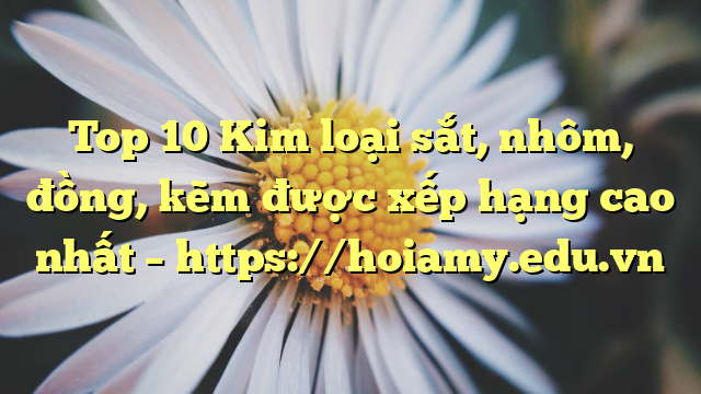 Top 10 Kim Loại Sắt, Nhôm, Đồng, Kẽm Được Xếp Hạng Cao Nhất – Https://Hoiamy.edu.vn