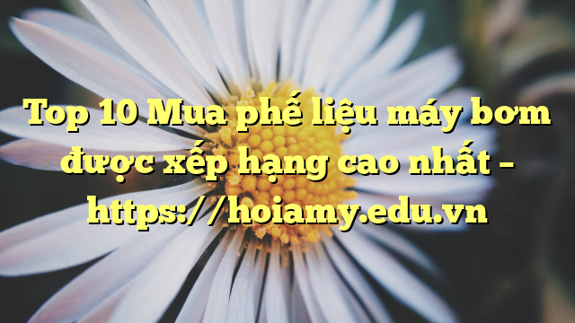 Top 10 Mua Phế Liệu Máy Bơm Được Xếp Hạng Cao Nhất – Https://Hoiamy.edu.vn