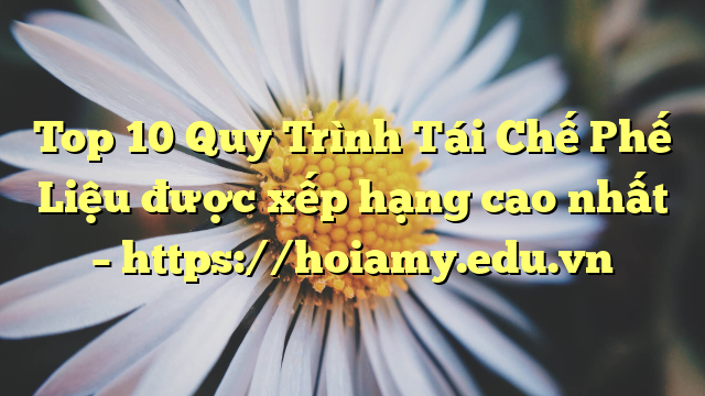 Top 10 Quy Trình Tái Chế Phế Liệu Được Xếp Hạng Cao Nhất – Https://Hoiamy.edu.vn