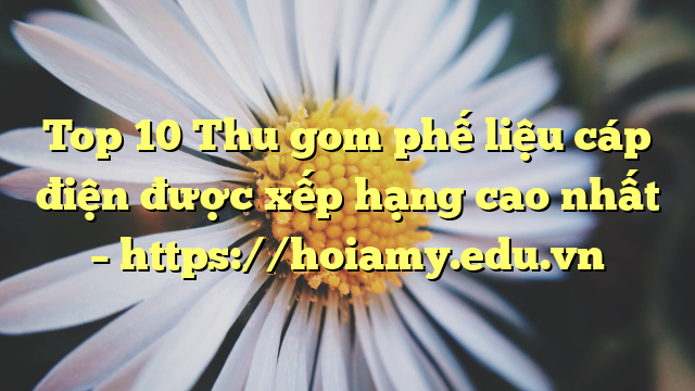 Top 10 Thu Gom Phế Liệu Cáp Điện Được Xếp Hạng Cao Nhất – Https://Hoiamy.edu.vn
