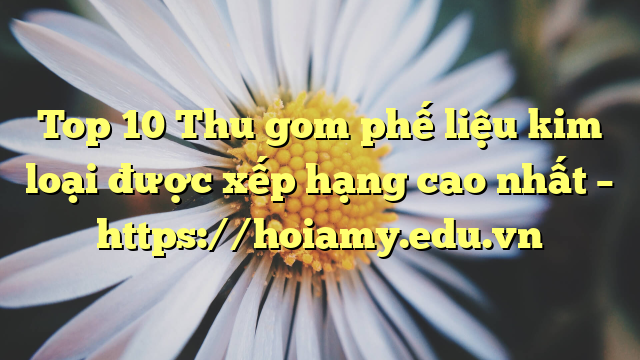 Top 10 Thu Gom Phế Liệu Kim Loại Được Xếp Hạng Cao Nhất – Https://Hoiamy.edu.vn
