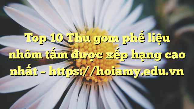 Top 10 Thu Gom Phế Liệu Nhôm Tấm Được Xếp Hạng Cao Nhất – Https://Hoiamy.edu.vn