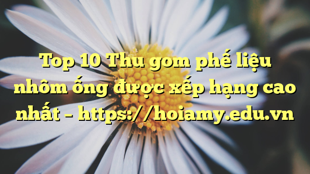 Top 10 Thu Gom Phế Liệu Nhôm Ống Được Xếp Hạng Cao Nhất – Https://Hoiamy.edu.vn