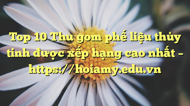 Top 10 Thu Gom Phế Liệu Thủy Tinh Được Xếp Hạng Cao Nhất – Https://Hoiamy.edu.vn