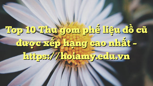 Top 10 Thu Gom Phế Liệu Đồ Cũ Được Xếp Hạng Cao Nhất – Https://Hoiamy.edu.vn