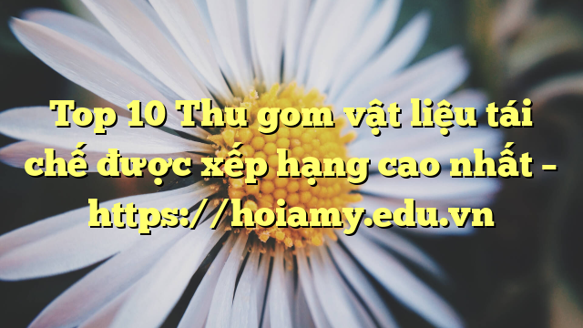 Top 10 Thu Gom Vật Liệu Tái Chế Được Xếp Hạng Cao Nhất – Https://Hoiamy.edu.vn