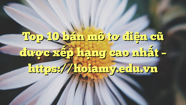 Top 10 Bán Mô Tơ Điện Cũ Được Xếp Hạng Cao Nhất – Https://Hoiamy.edu.vn