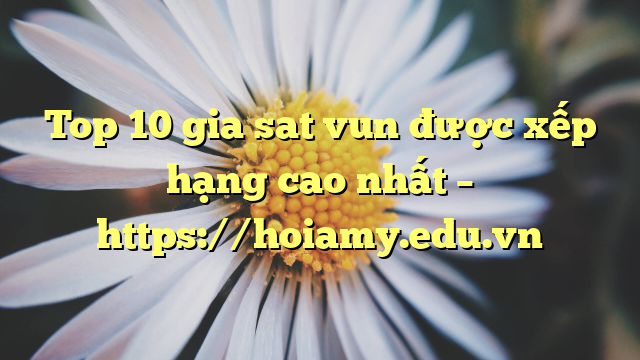 Top 10 Gia Sat Vun Được Xếp Hạng Cao Nhất – Https://Hoiamy.edu.vn