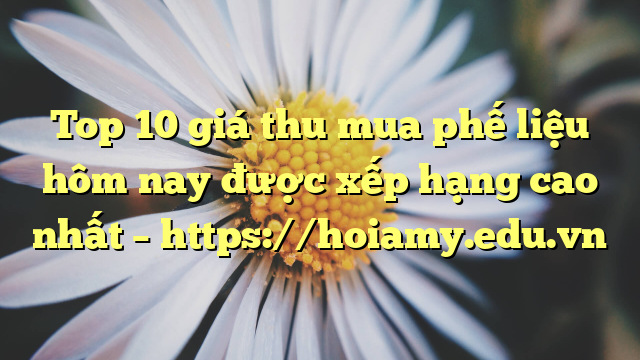Top 10 Giá Thu Mua Phế Liệu Hôm Nay Được Xếp Hạng Cao Nhất – Https://Hoiamy.edu.vn