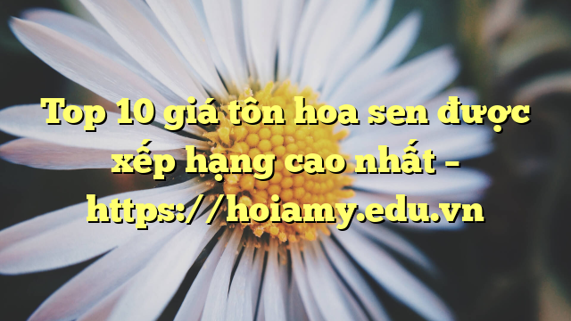 Top 10 Giá Tôn Hoa Sen Được Xếp Hạng Cao Nhất – Https://Hoiamy.edu.vn