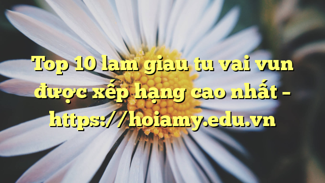 Top 10 Lam Giau Tu Vai Vun Được Xếp Hạng Cao Nhất – Https://Hoiamy.edu.vn