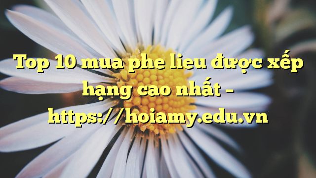 Top 10 Mua Phe Lieu Được Xếp Hạng Cao Nhất – Https://Hoiamy.edu.vn