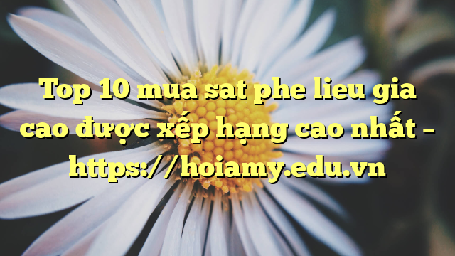 Top 10 Mua Sat Phe Lieu Gia Cao Được Xếp Hạng Cao Nhất – Https://Hoiamy.edu.vn