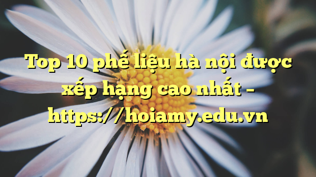 Top 10 Phế Liệu Hà Nội Được Xếp Hạng Cao Nhất – Https://Hoiamy.edu.vn