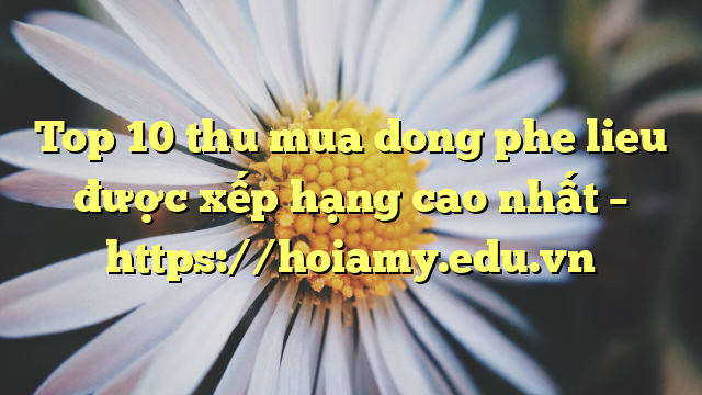 Top 10 Thu Mua Dong Phe Lieu Được Xếp Hạng Cao Nhất – Https://Hoiamy.edu.vn
