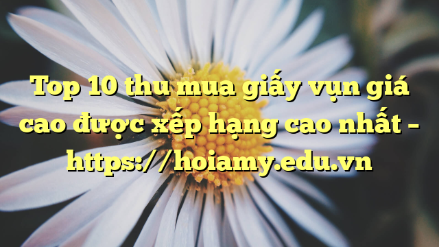 Top 10 Thu Mua Giấy Vụn Giá Cao Được Xếp Hạng Cao Nhất – Https://Hoiamy.edu.vn