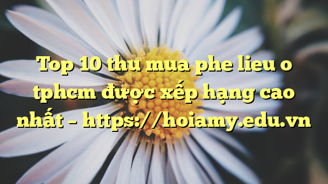 Top 10 Thu Mua Phe Lieu O Tphcm Được Xếp Hạng Cao Nhất – Https://Hoiamy.edu.vn