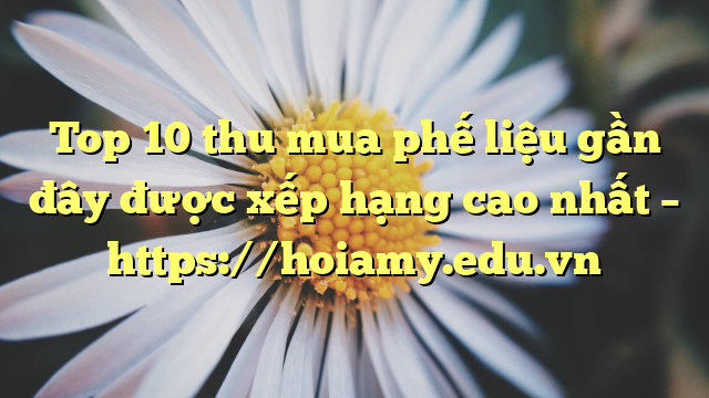 Top 10 Thu Mua Phế Liệu Gần Đây Được Xếp Hạng Cao Nhất – Https://Hoiamy.edu.vn