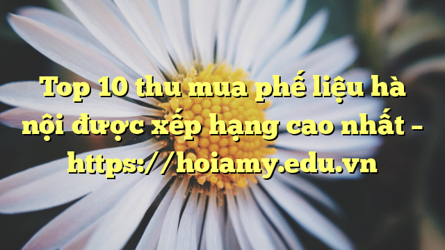 Top 10 Thu Mua Phế Liệu Hà Nội Được Xếp Hạng Cao Nhất – Https://Hoiamy.edu.vn