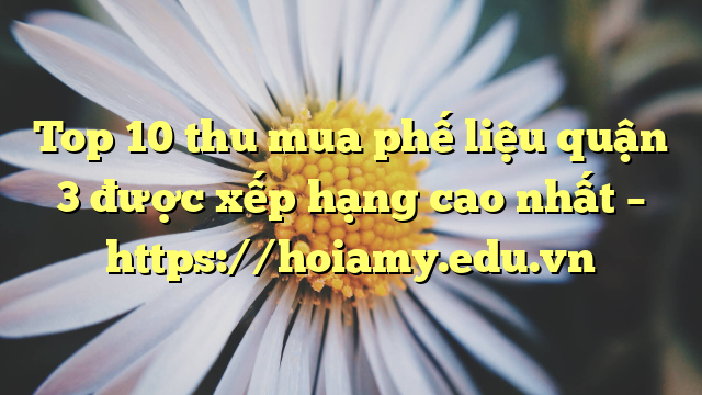 Top 10 Thu Mua Phế Liệu Quận 3 Được Xếp Hạng Cao Nhất – Https://Hoiamy.edu.vn