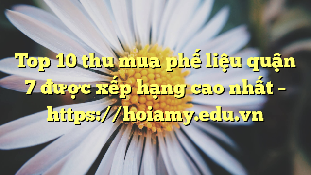 Top 10 Thu Mua Phế Liệu Quận 7 Được Xếp Hạng Cao Nhất – Https://Hoiamy.edu.vn