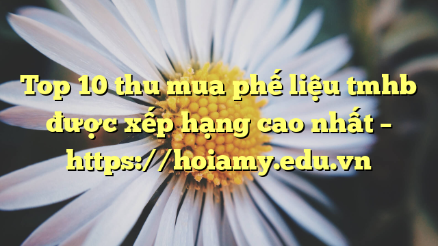Top 10 Thu Mua Phế Liệu Tmhb Được Xếp Hạng Cao Nhất – Https://Hoiamy.edu.vn