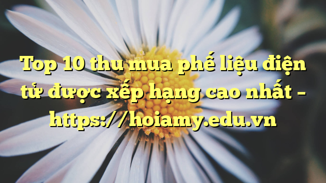 Top 10 Thu Mua Phế Liệu Điện Tử Được Xếp Hạng Cao Nhất – Https://Hoiamy.edu.vn