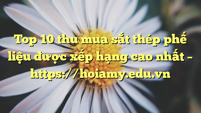 Top 10 Thu Mua Sắt Thép Phế Liệu Được Xếp Hạng Cao Nhất – Https://Hoiamy.edu.vn