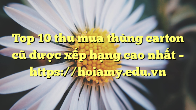 Top 10 Thu Mua Thùng Carton Cũ Được Xếp Hạng Cao Nhất – Https://Hoiamy.edu.vn