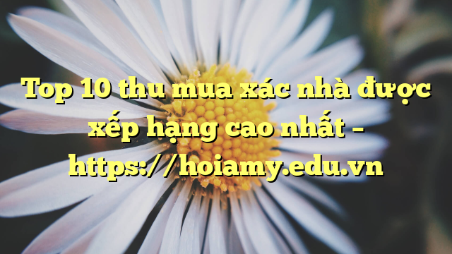 Top 10 Thu Mua Xác Nhà Được Xếp Hạng Cao Nhất – Https://Hoiamy.edu.vn
