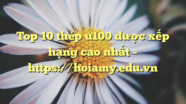Top 10 Thép U100 Được Xếp Hạng Cao Nhất – Https://Hoiamy.edu.vn