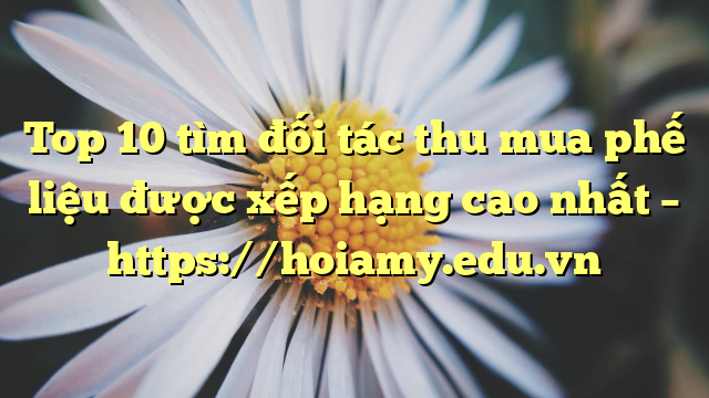 Top 10 Tìm Đối Tác Thu Mua Phế Liệu Được Xếp Hạng Cao Nhất – Https://Hoiamy.edu.vn