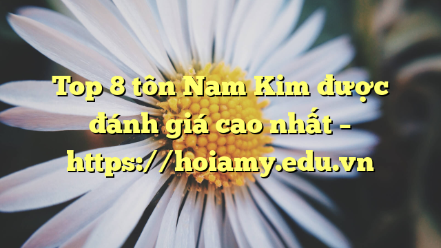 Top 8  Tôn Nam Kim Được Đánh Giá Cao Nhất – Https://Hoiamy.edu.vn