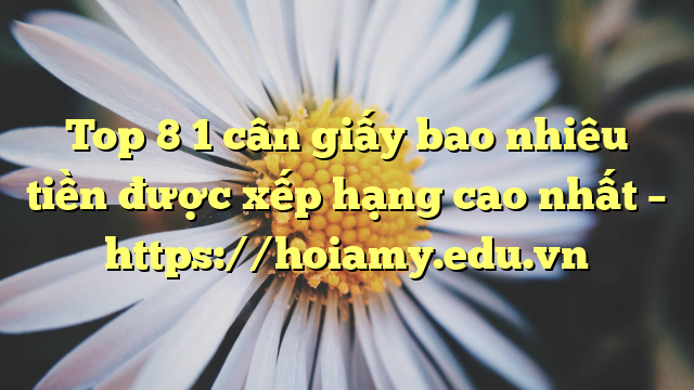 Top 8 1 Cân Giấy Bao Nhiêu Tiền Được Xếp Hạng Cao Nhất – Https://Hoiamy.edu.vn