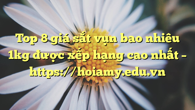 Top 8 Giá Sắt Vụn Bao Nhiêu 1Kg Được Xếp Hạng Cao Nhất – Https://Hoiamy.edu.vn