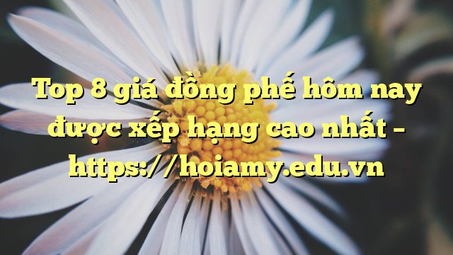 Top 8 Giá Đồng Phế Hôm Nay Được Xếp Hạng Cao Nhất – Https://Hoiamy.edu.vn