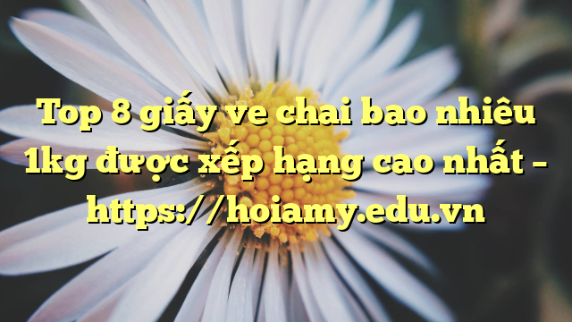 Top 8 Giấy Ve Chai Bao Nhiêu 1Kg Được Xếp Hạng Cao Nhất – Https://Hoiamy.edu.vn